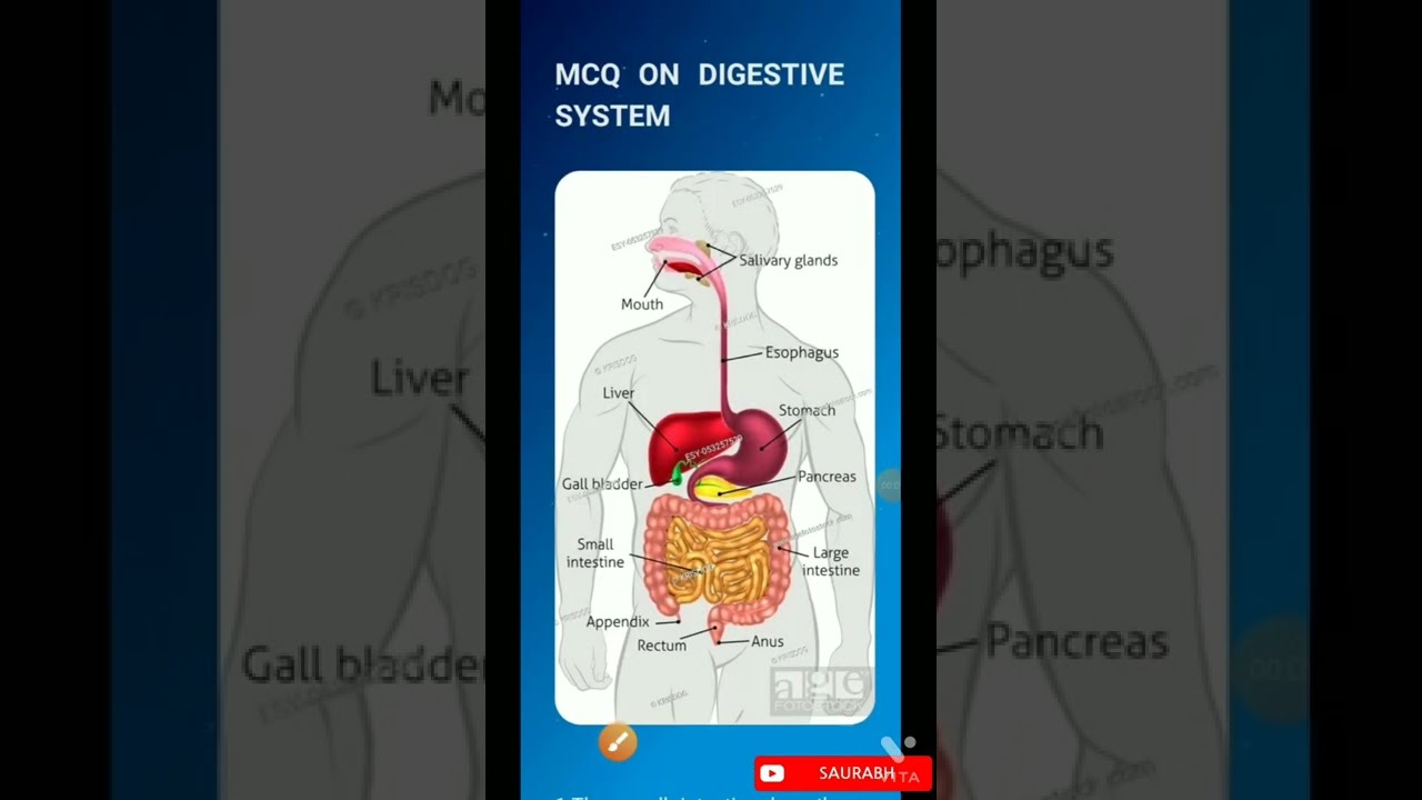 Exit Exam MCQ Question on Digestive system D Pharmacy