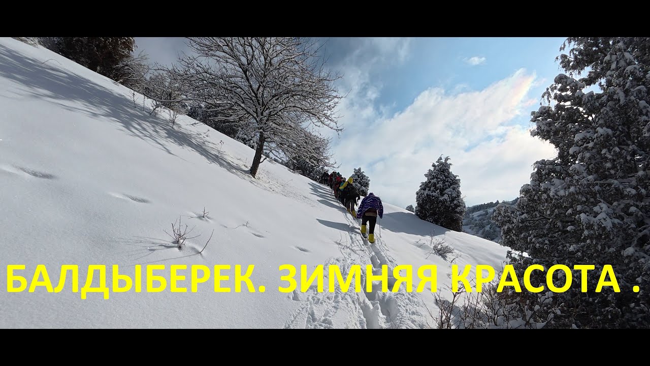 ЗИМА! Лёгкое Путешествие по  Холмам Ущелья Балдыберек! Природа 4К! Шымкент! Казахстан! ПОДПИШИСЬ!