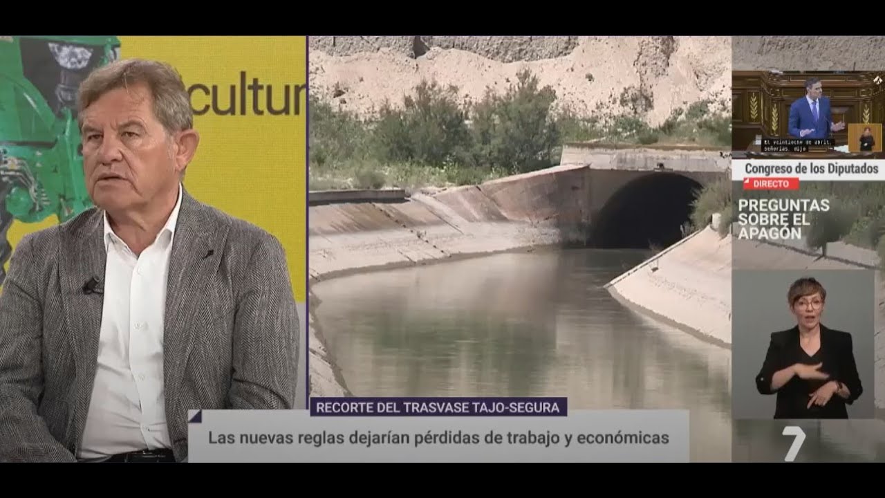 Mariano Zapata en el Matinal de 7TV