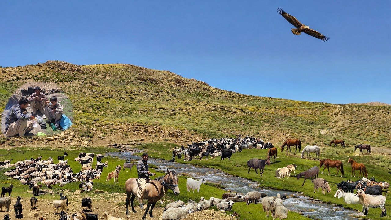 Into the Wild Zagros 🏔️🐑 | Nomad Shepherds, Hidden Springs & Mysterious Caves 🌿💧🐎