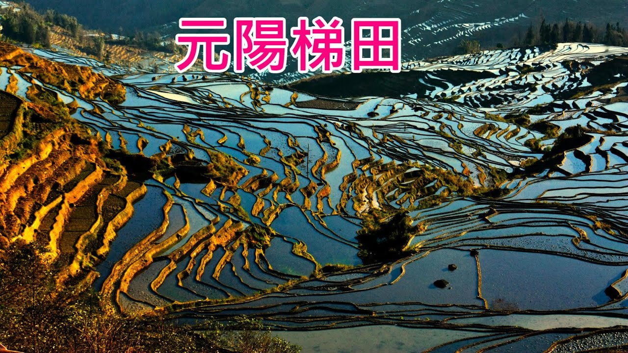 雲南 - 元陽梯田