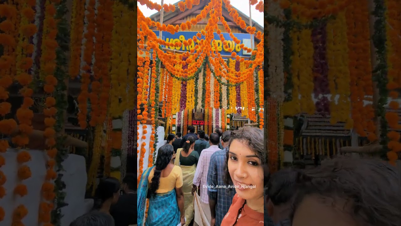 തിരുവില്ലാമല നിറമാല #thiruvilwamala #niramala #maholsavam #2025 #aana #elephant #aanakeralam