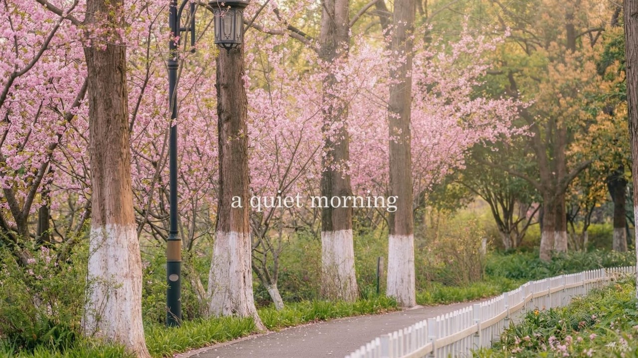 a quiet morning 🌸 calm playlist for writing, reading, and work