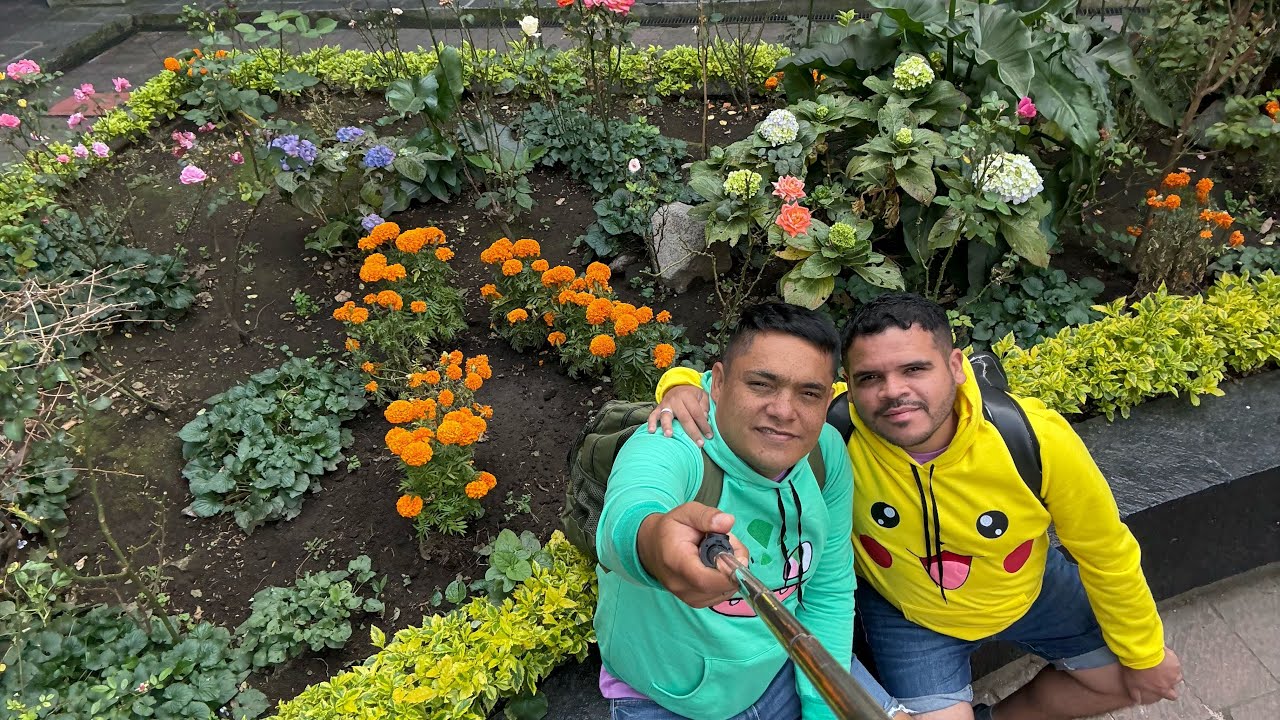 CDMX - Coyoacán 