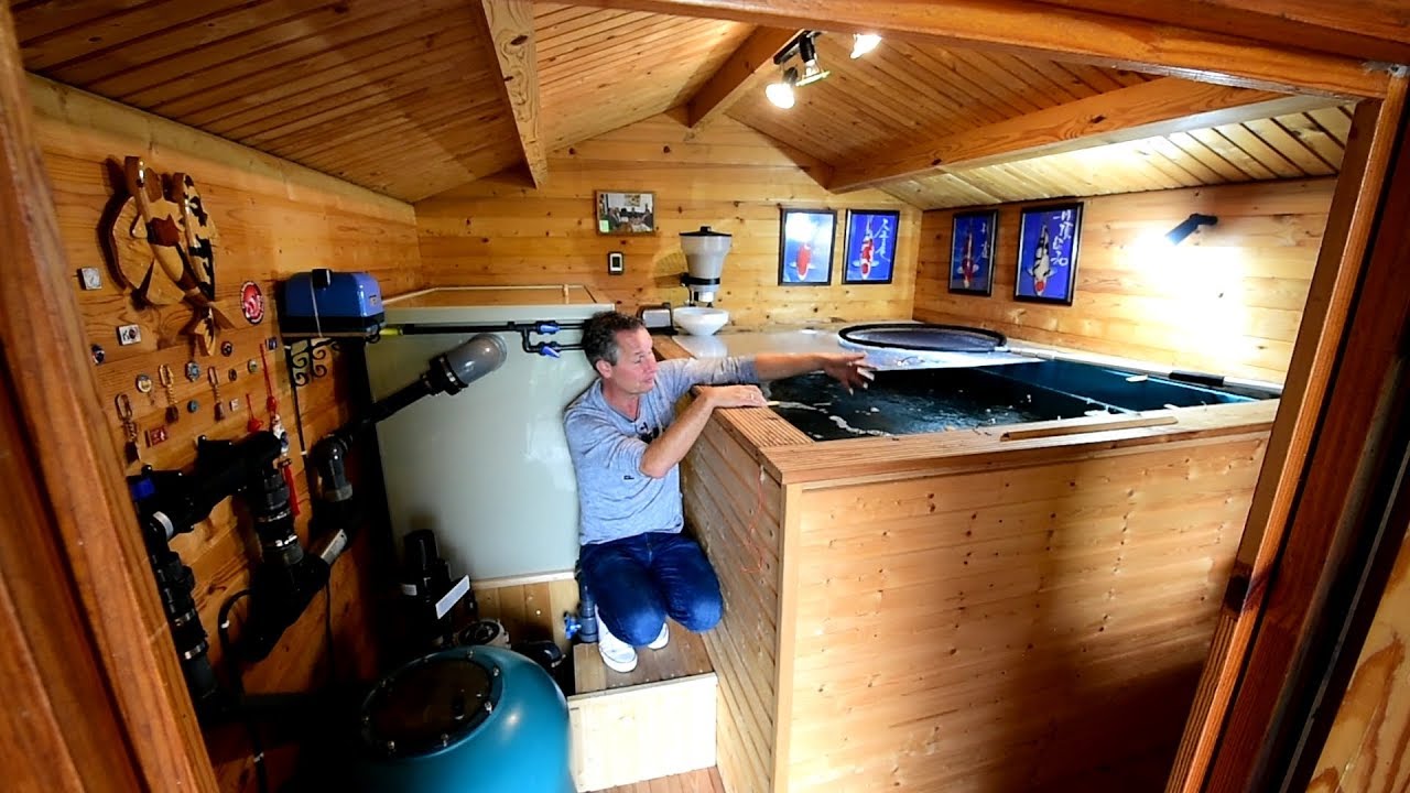 Modern Koi Blog #1901 - Mauros Innenh&auml;lterung im schweizer Chalet Stil