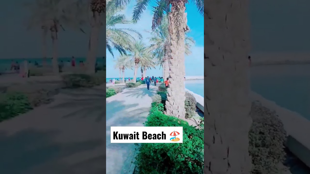 Kuwait Beach🏖️