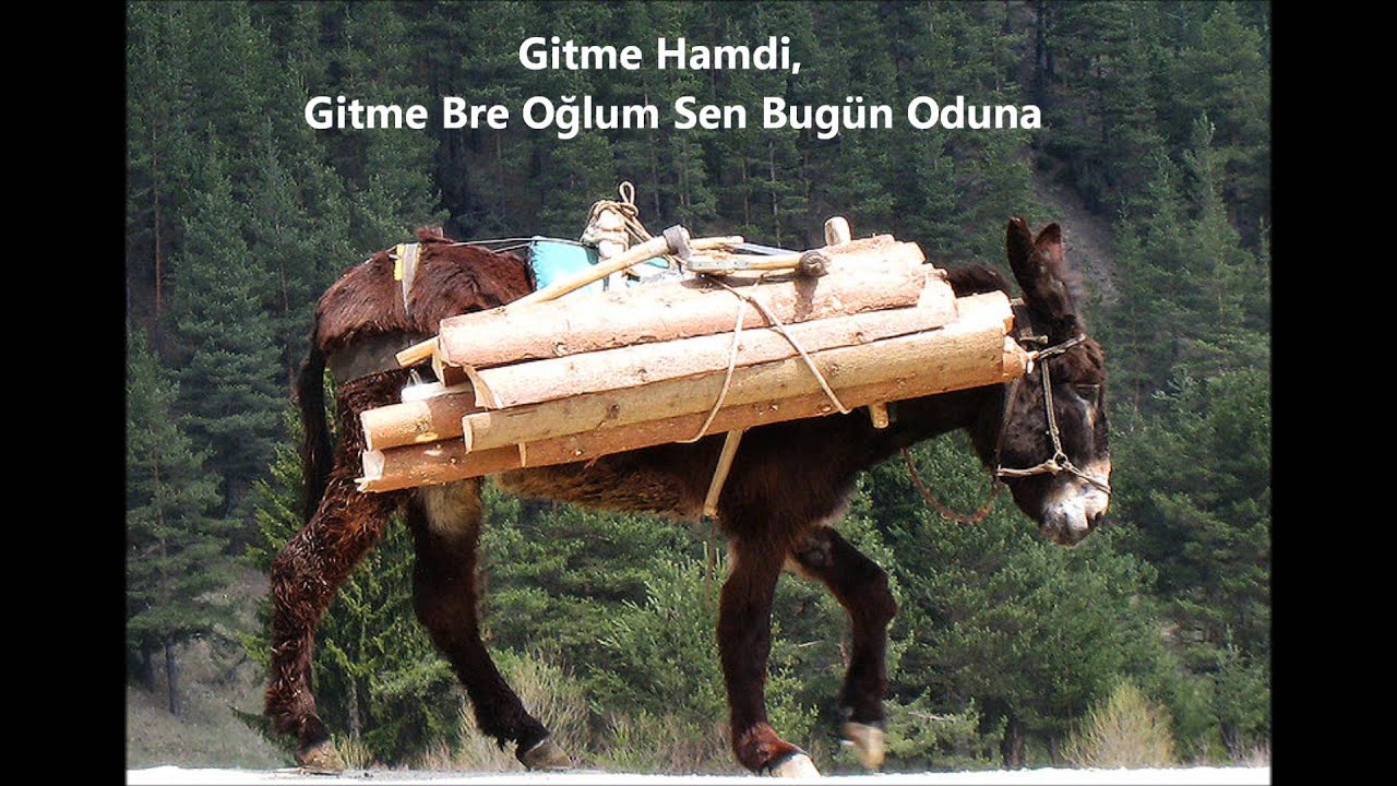 Gitme Hamdi, Gitme Bre Oğlum Sen Bugün Oduna - Şule Arık & Rüstem Avcı
