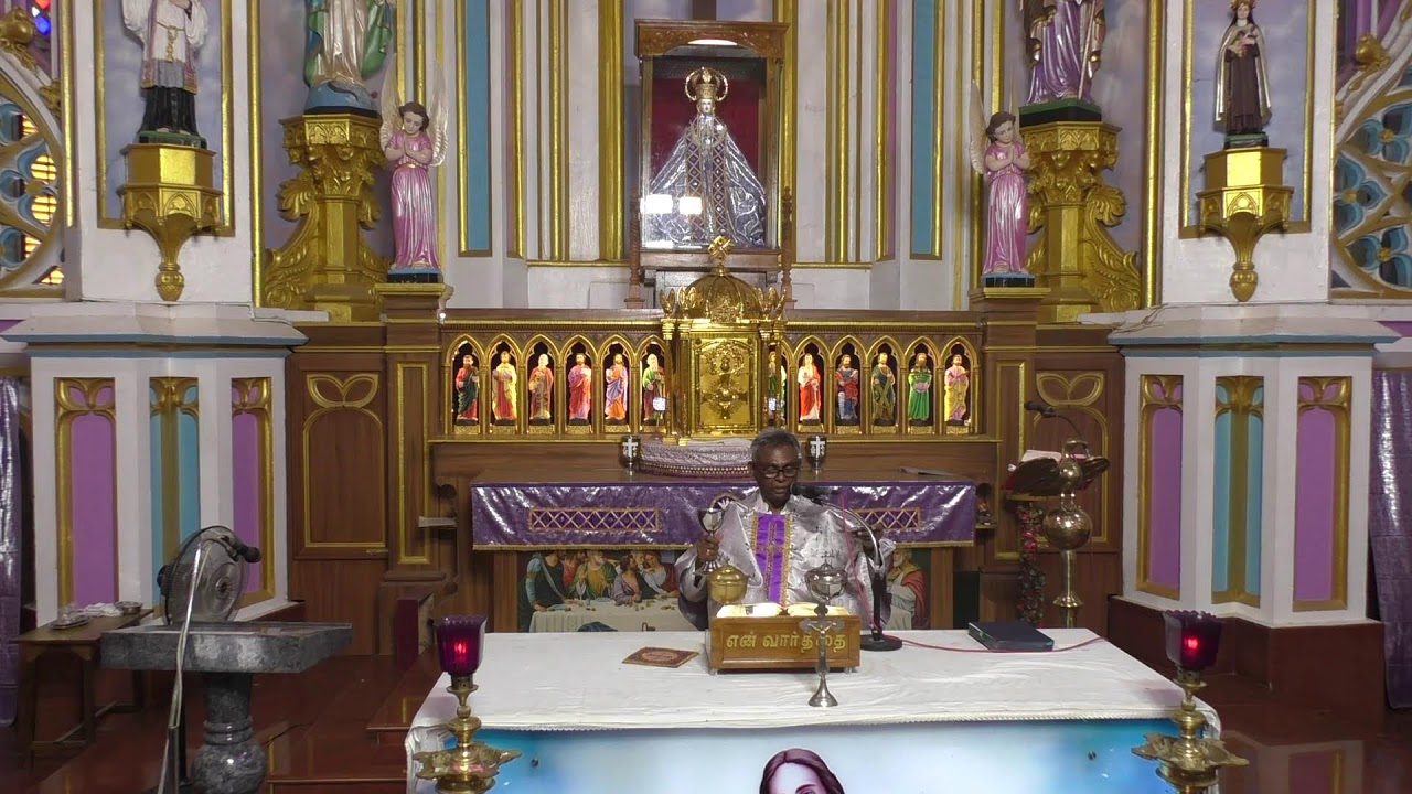 ༺♰༻ 🅛🅘🅥🅔 𝑽𝒂𝒅𝒂𝒗𝒂𝒊 𝑷𝒂𝒓𝒂𝒍𝒐𝒈𝒂 𝑴𝒂𝒕𝒉𝒂 - Daily Mass in Tamil -  2025 - திருப்பலி