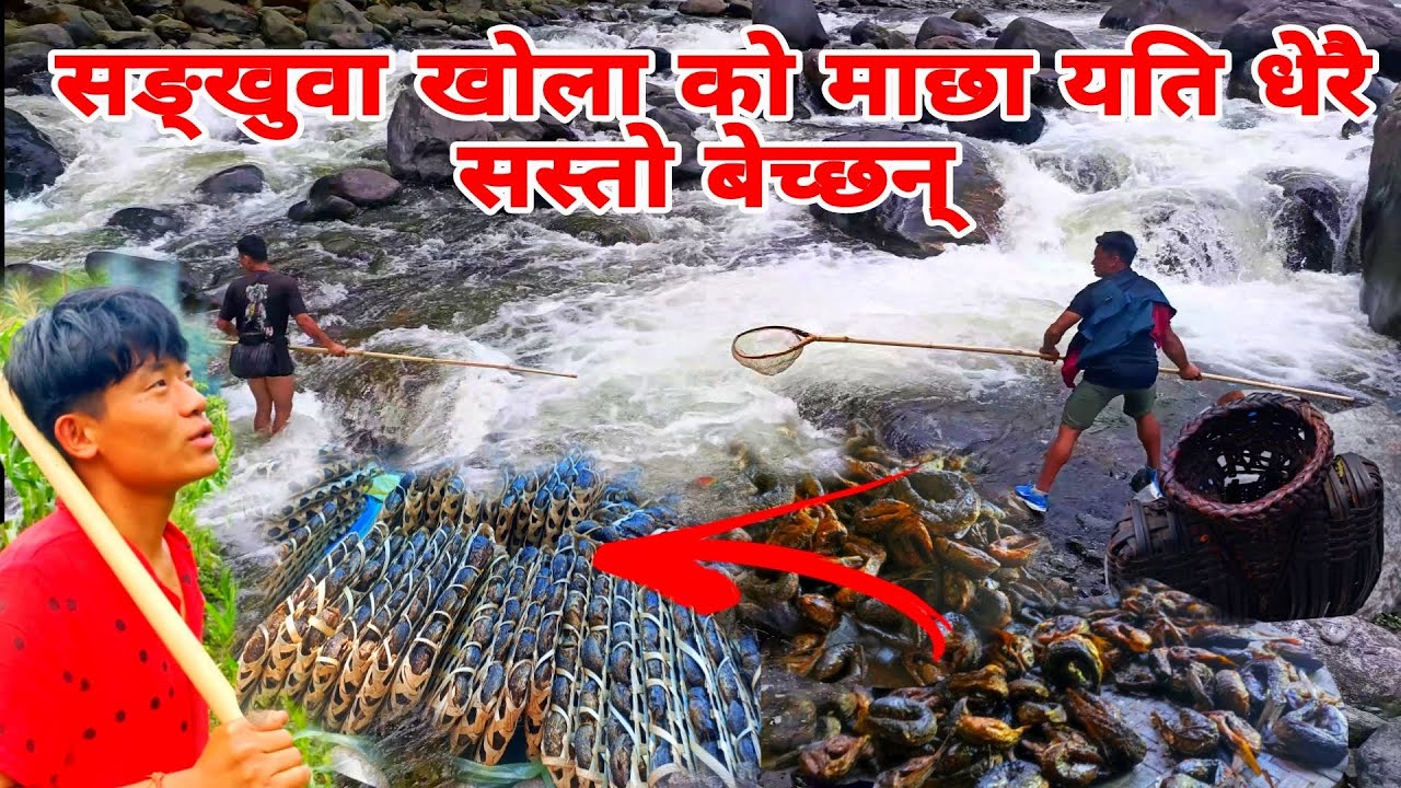 तिते माछा मार्न जादा असलाको रास भेटियो।😱कति धेरै 🐟 माछा @sotang1017