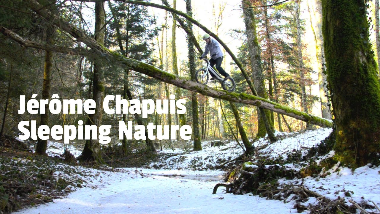 JEROME CHAPUIS - SLEEPING NATURE