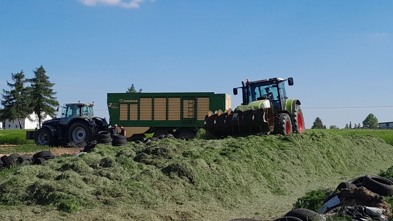 GR UR SKUP ■ Usługowa akcja na 2 zestawy ■ 2x Massey Ferguson & Claas Ares ■ Zbieranie Traw 30km/h
