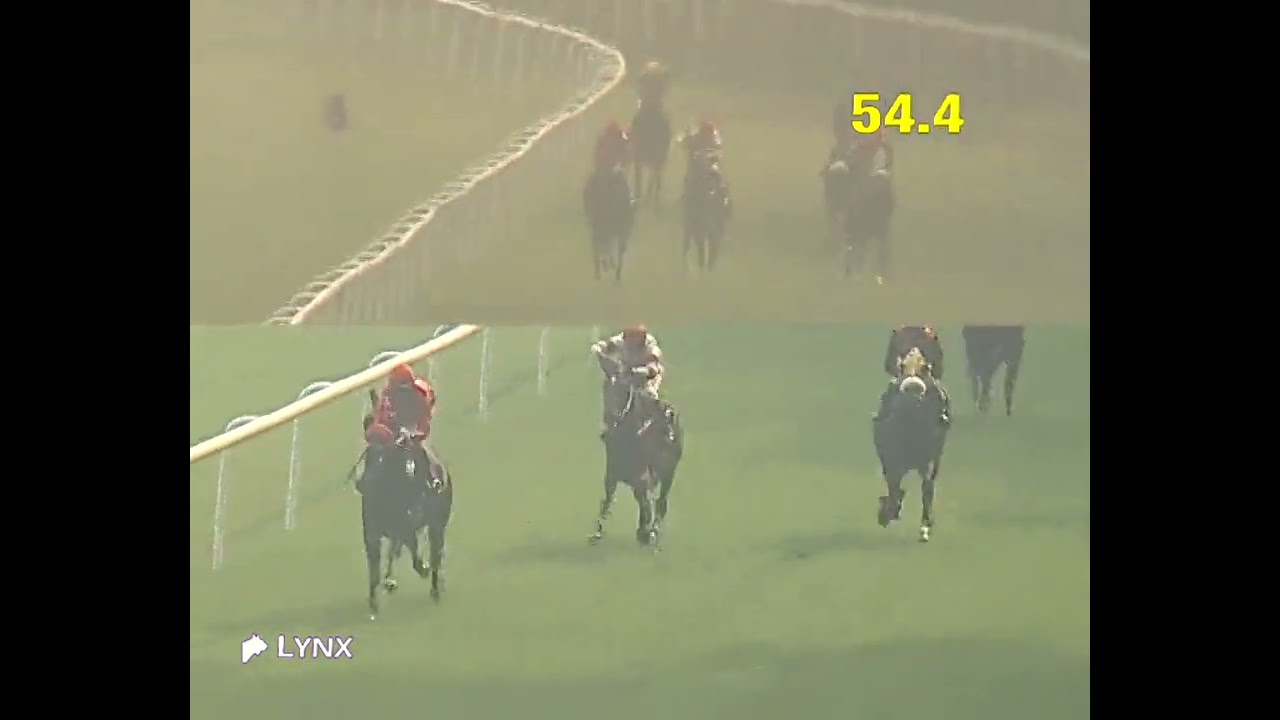 The Guindy Plate Winner 