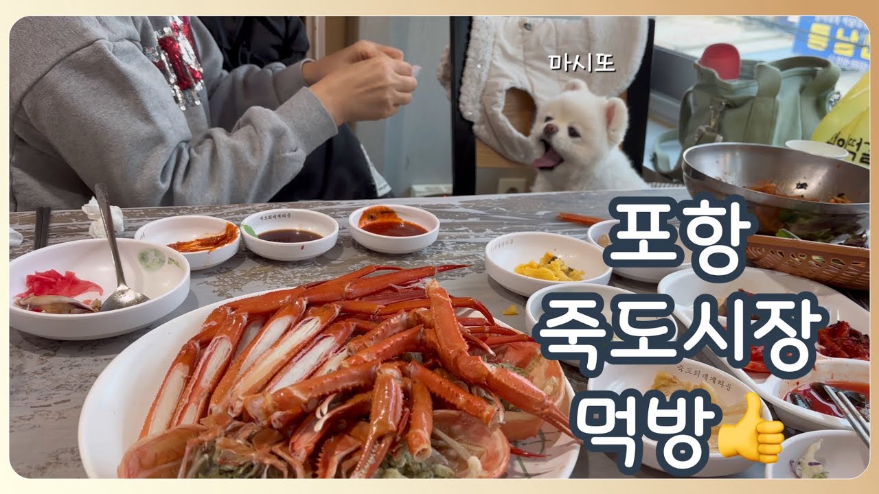 [애견동반 포항맛집 여행] 포항 죽도시장 먹방여행 | 애견동반 대게집 발견 하고 눈뒤집혀 들어갔다가 배터져서 나왔어요 ㅎ