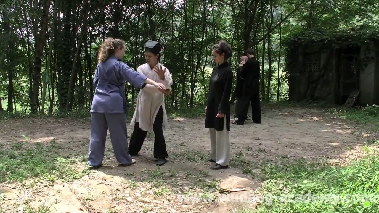 Wudang Michuan Taiji 64 Course / 武当秘传64式太极课 - Demonstration