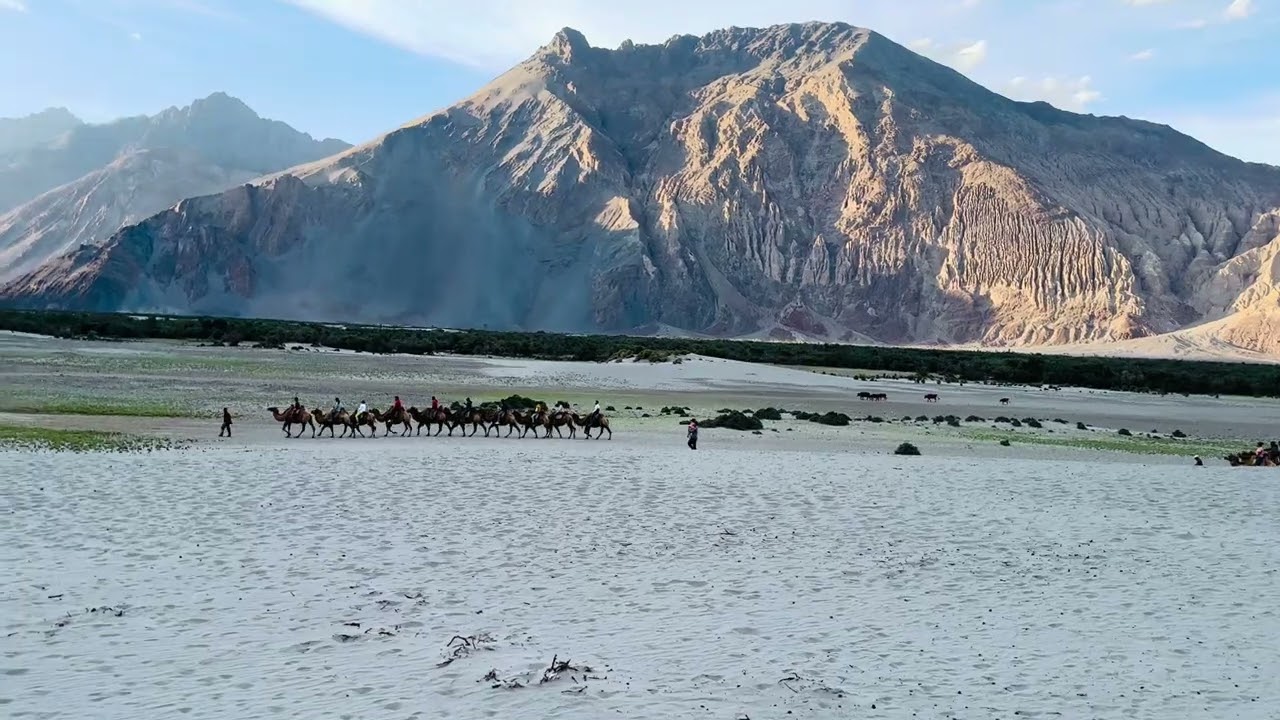 Double Hump Camel ride  at Hunder Sand Dunes