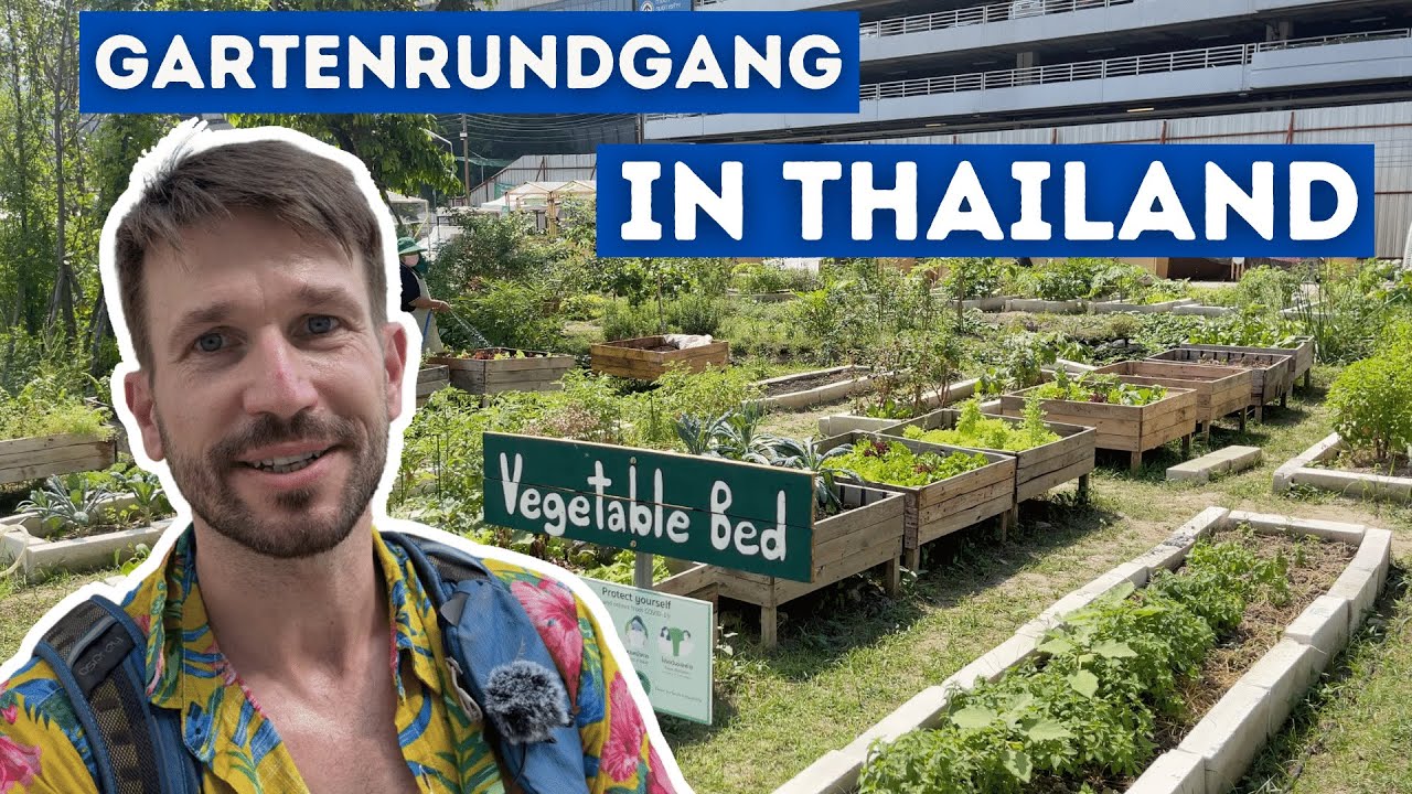 Thailand Reise - Grünes Bangkok: ein Garten Projekt in der Metropole g Garden - Urban Farming