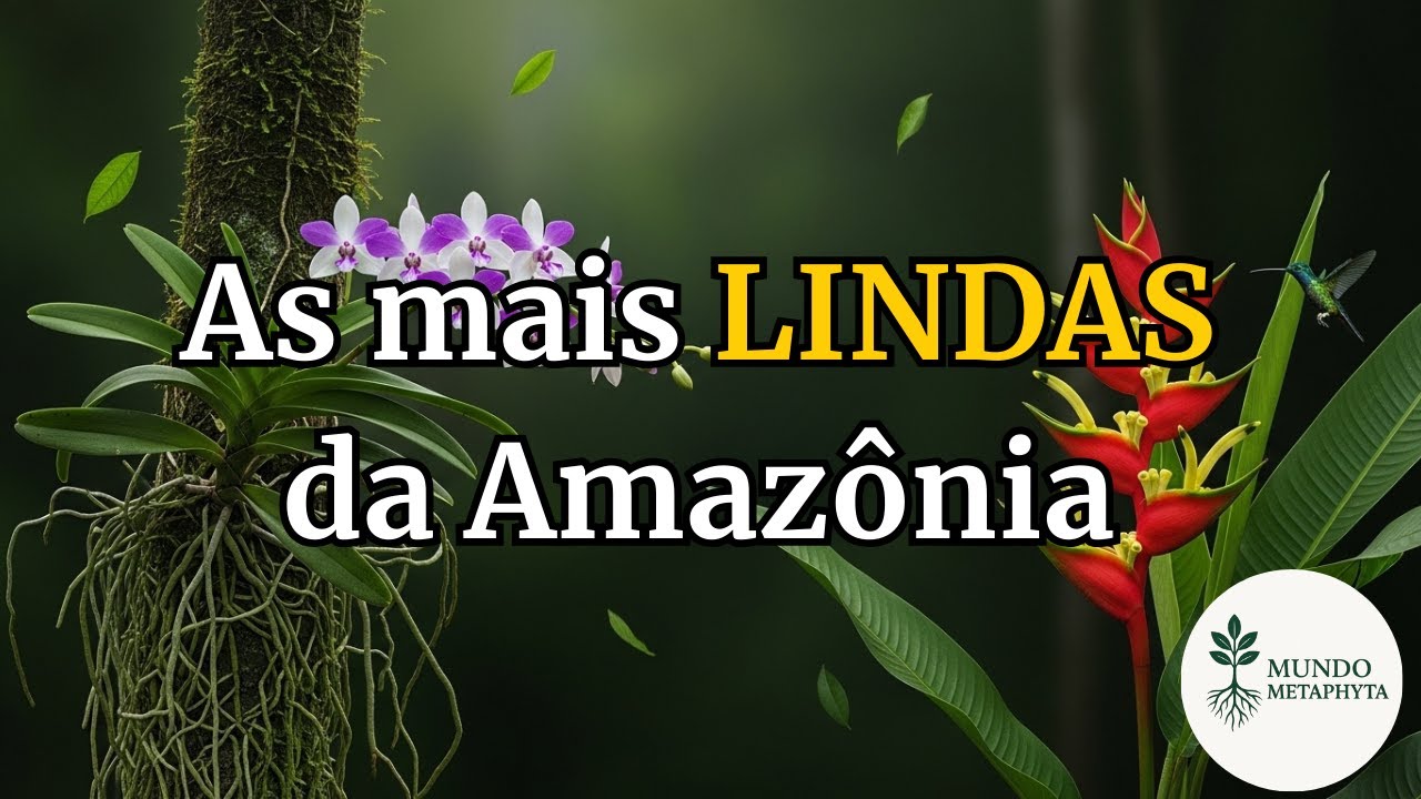 As 15 Plantas Mais Lindas da Amazônia! 🌴 Joias da Floresta