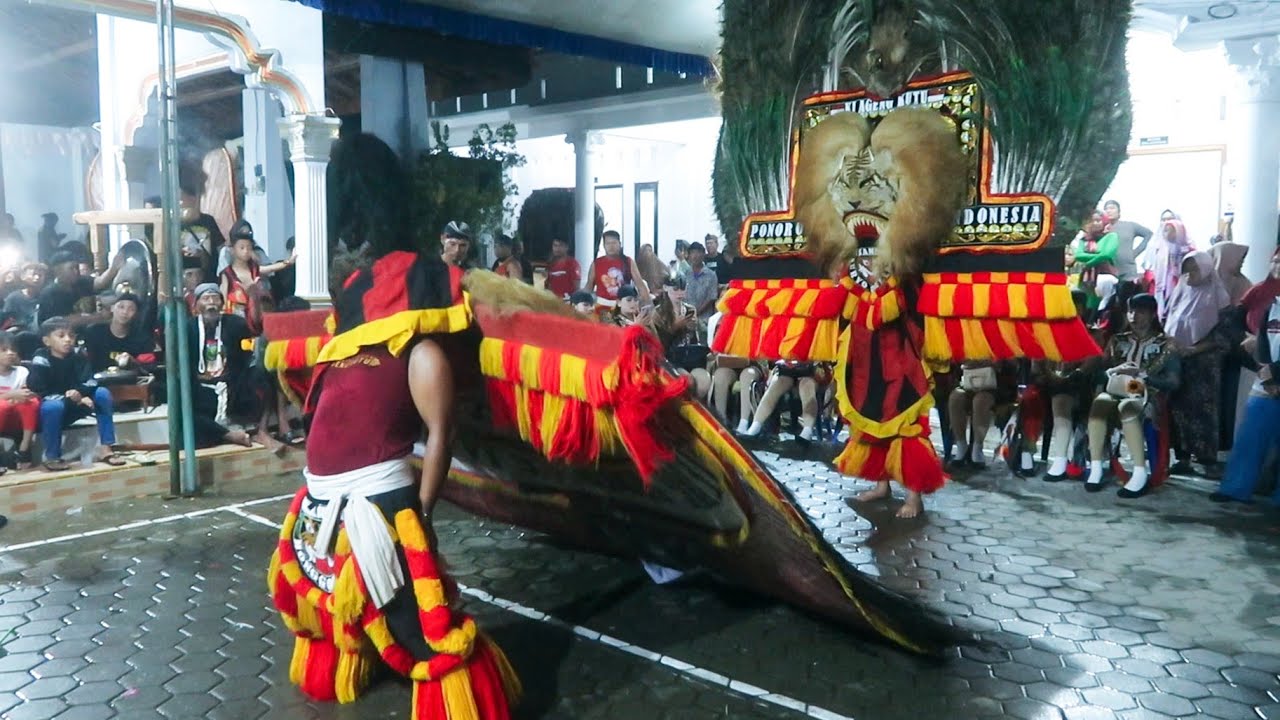 SPEKTAKULER ‼️ ATRAKSI KAYANG PEMBARONG REOG PONOROGO TERKUAT TAKLUKKAN DADAK MERAK TERBESAR