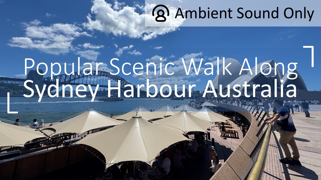 Explore Popular Scenic Walk Along Sydney Harbour Australia (Ambient Sound Only) | 4K Walking Tour