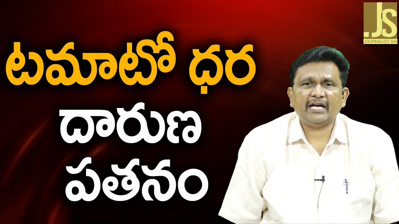టమాటో ధర దారుణ పతనం Tomato rate down