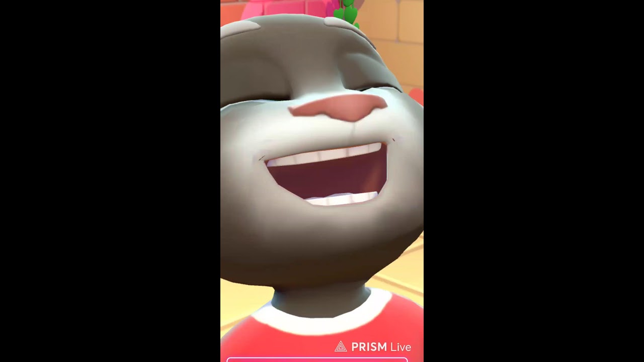 Talking Tom Game