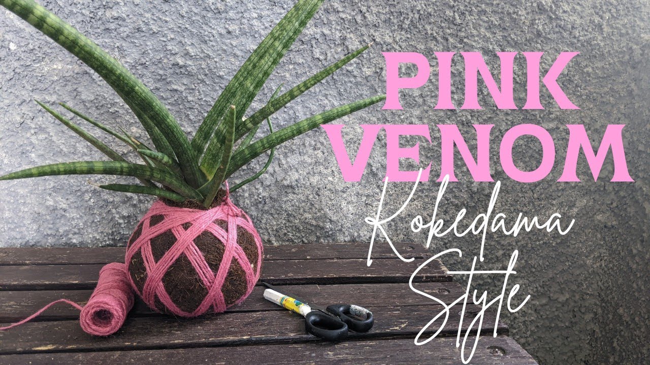 Make Your Own 'Pink Venom' Inspired Kokedama Rope!