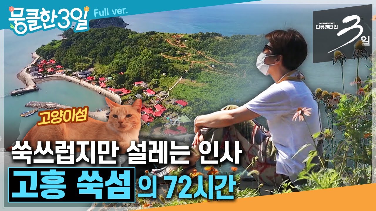 [다큐3일⭑Full] 4백 년 봉인됐던 '비밀의 숲'이 있는 섬🏝️그곳엔 뭔가 특별한 것이 있다✨ ‘고흥 쑥섬'의 72시간 | KBS 방송