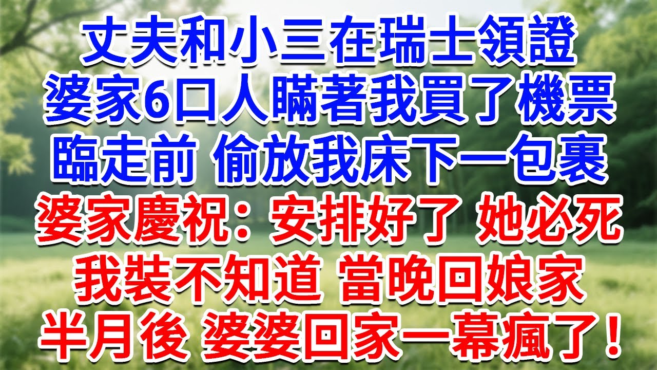 丈夫和小三在瑞士領證，婆家6口人瞞著我買了機票，臨走前 偷放我床下一包裹，婆家慶祝：安排好了 她必死！我裝不知道當晚回娘家，半月後 婆婆回家一幕瘋了！#生活經驗#情感故事#故事#小說#戀愛#情感#婚姻
