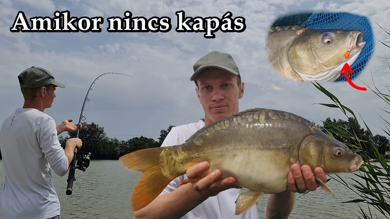 Nyári Feederezés - Megoldások kapástalan időszakokra