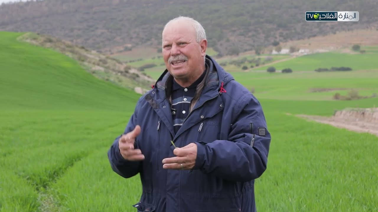 مزارع الحبوب و الامراض الطفيلية