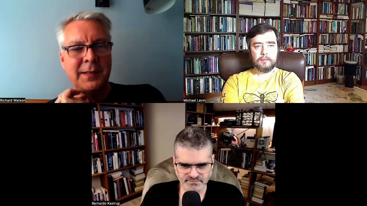 Bernardo Kastrup, Richard Watson, and Mike Levin - conversation 1