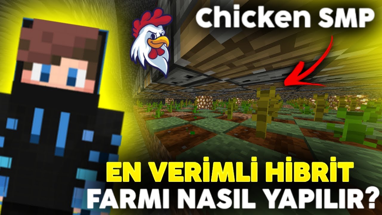 Chicken Smp En Verimli Hibrit Farmı Yapımı !