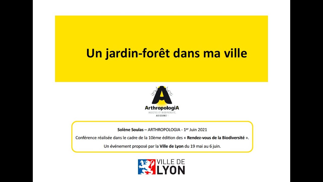 Un jardin-forêt dans ma ville !