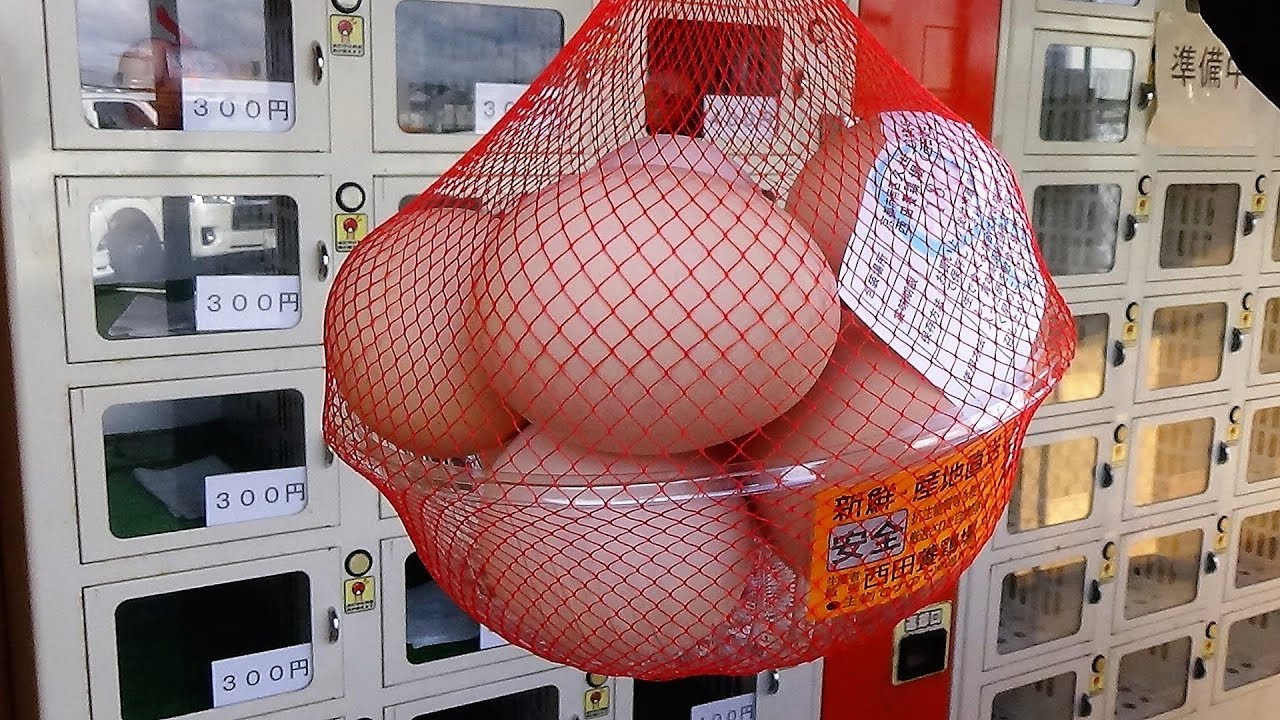 Egg Vending Machine Do you know TKG?