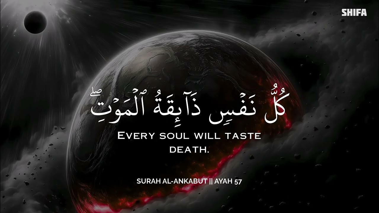 أرح سمعك.. تلاوة هادئة تريح القلب والعقل🩵😴 | ساعة كاملة🕛🎧 القارئ محمد هشام | Mohamed Hesham
