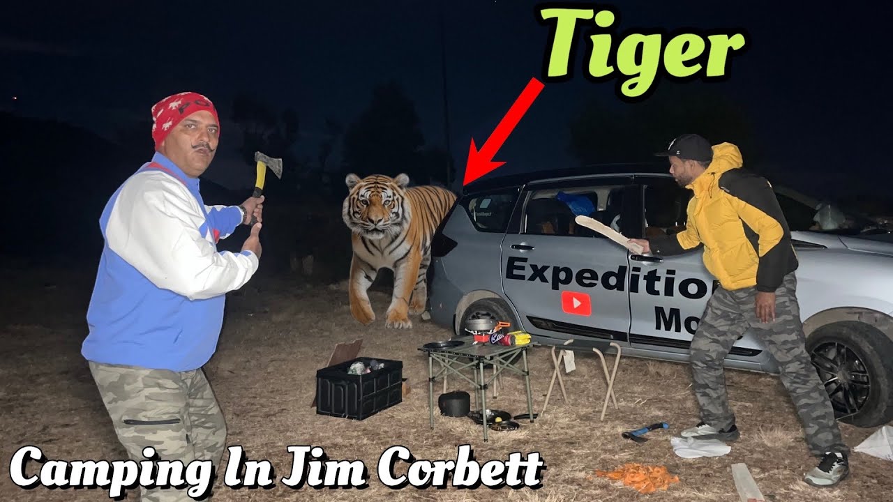Tiger Near Our Car Camping | बाघ ने अचानक से हमला कर दिया | Camping In Jim Corbett National Park 