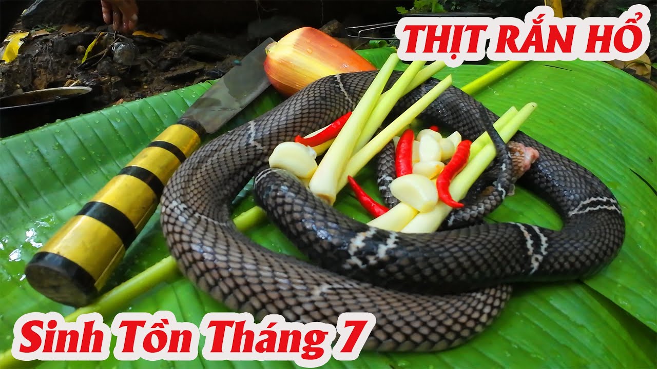Gặp Rắn Hổ Ngang Đường  Sinh Tồn Tháng 7  ✧  Suối Bản Tv