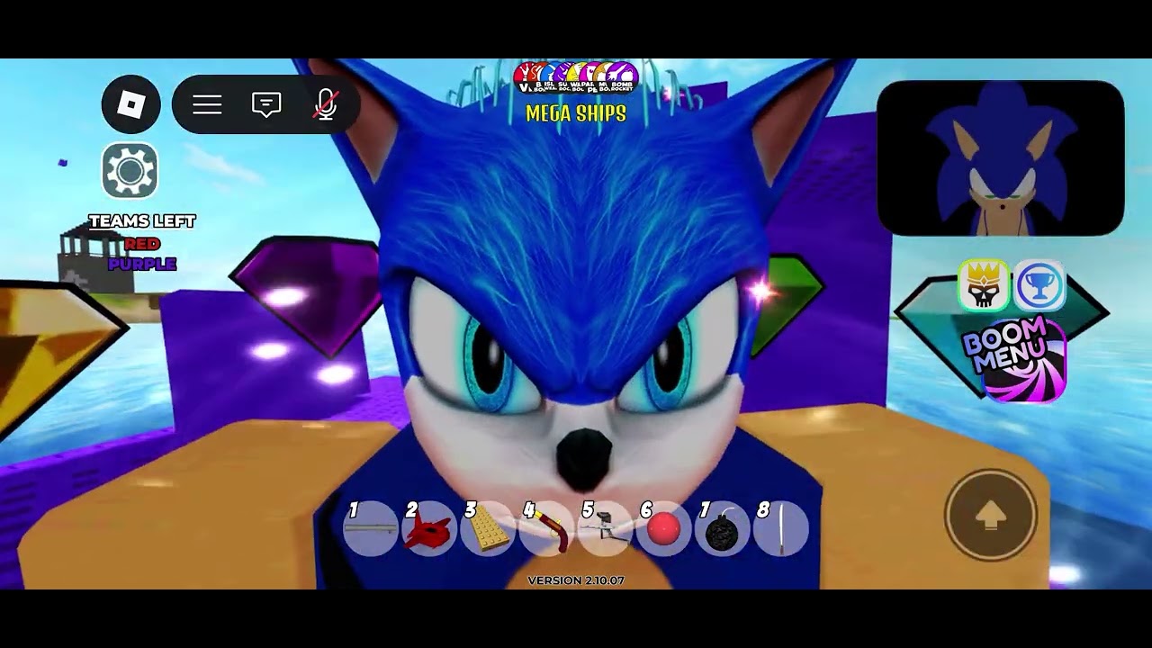 Go Go Sonic 