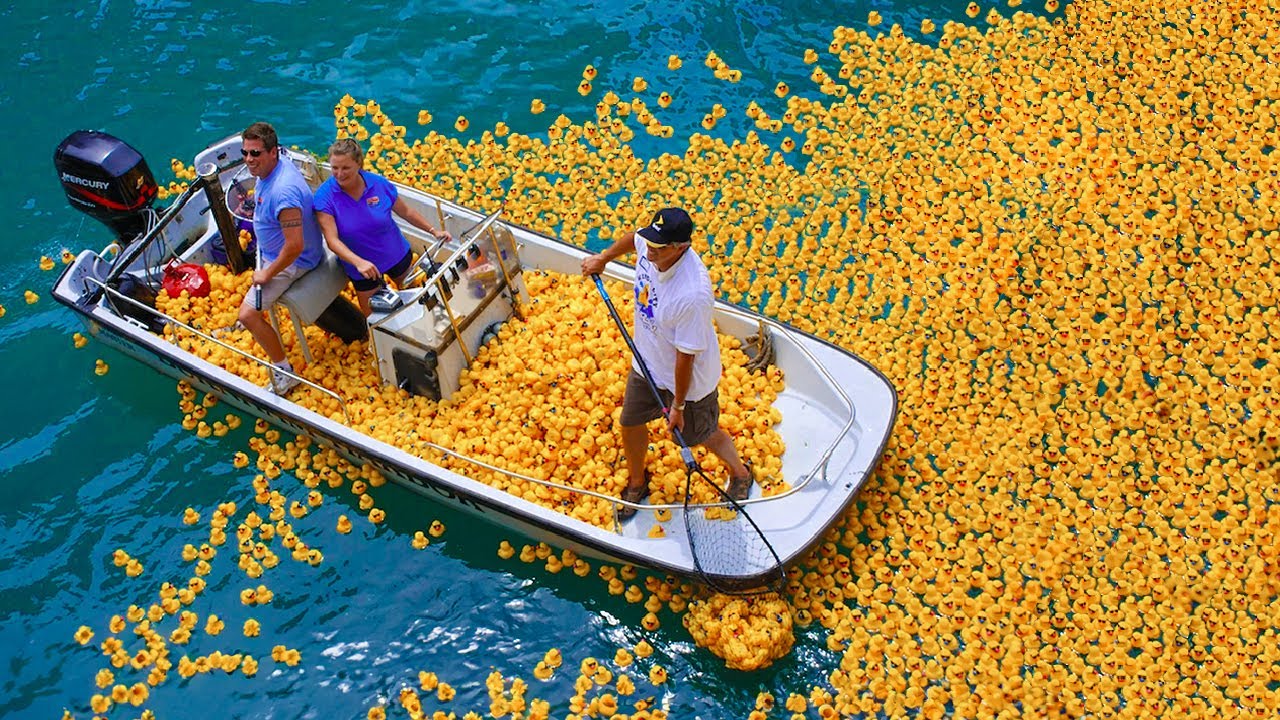 How 29,000 Lost Rubber Ducks Helped Map Oceans