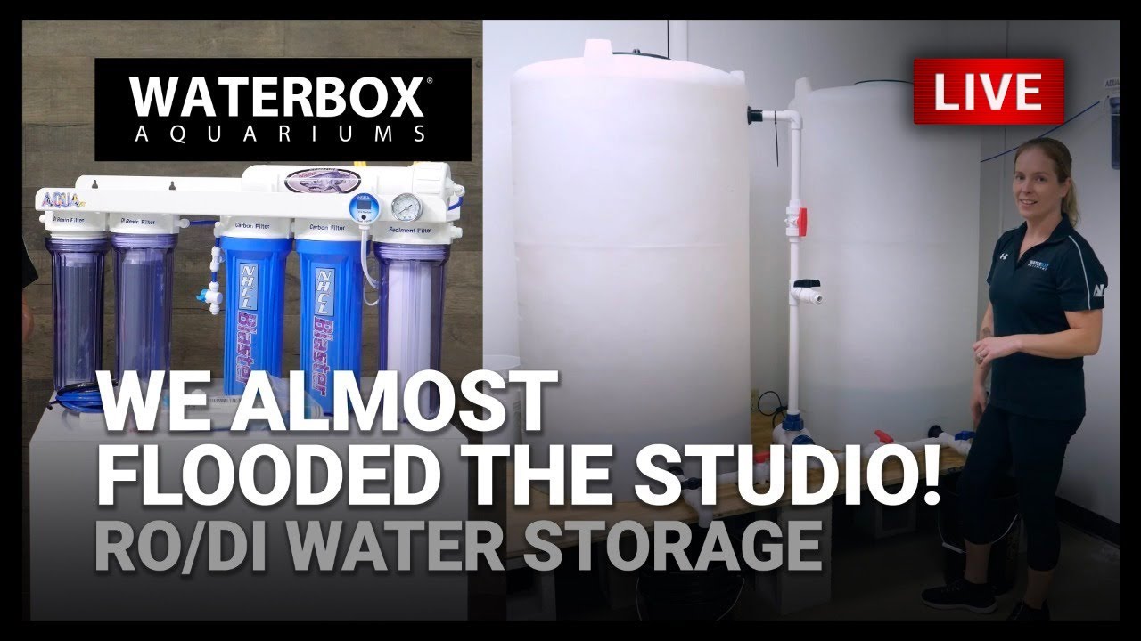 EP02 | We almost flooded the studio! RO/DI and Water Storage.  A Guide to Large Reef Aquariums