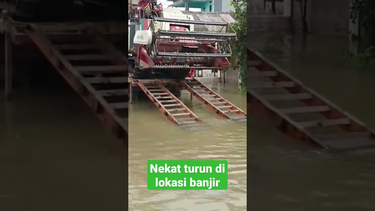 combi nekat masuk air banjir #agriculture #combineharvester #crane #panenpadi