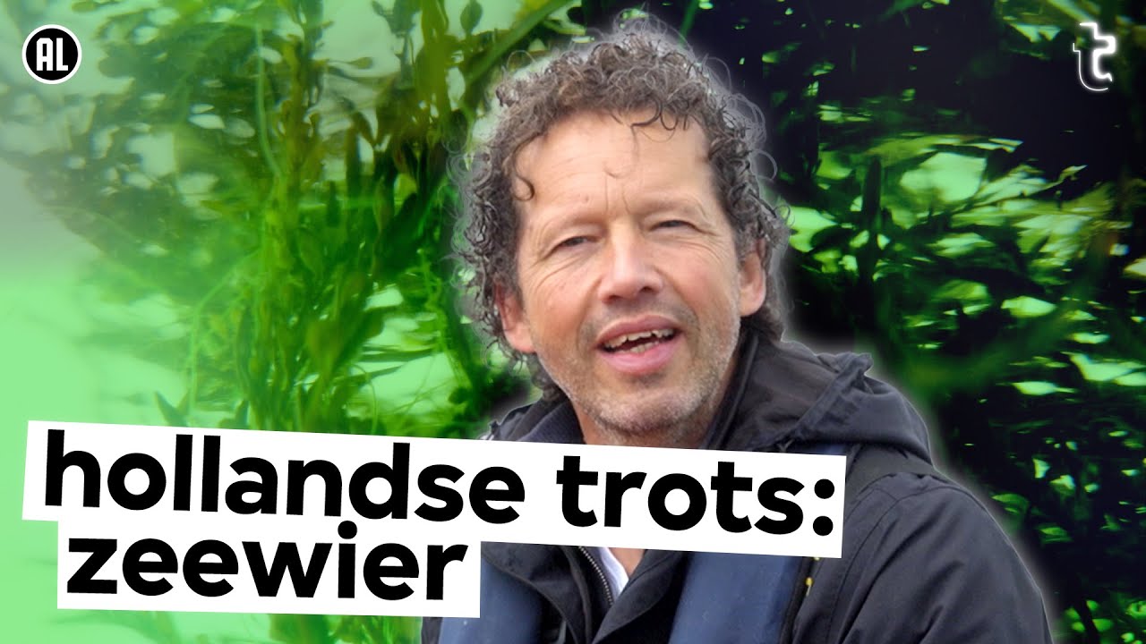 Waarom zeewier thuishoort in de Nederlandse keuken | VPRO Tegenlicht