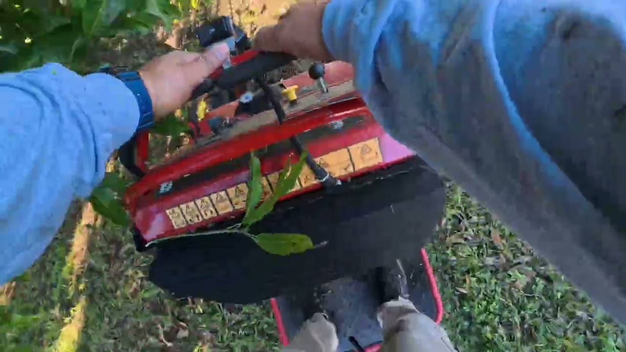 Eco-Friendly Lawn Transformation: Battery Trimmer, Toro Mower, and Weed Killer Magic!