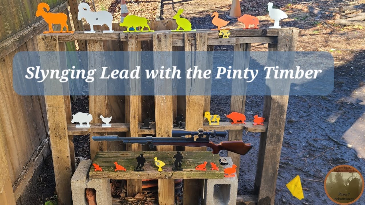 Slynging Lead: A Very Merry Unbirthday plinking with ‎⁨@pintyscopes⁩  P-Rifle (Timber)