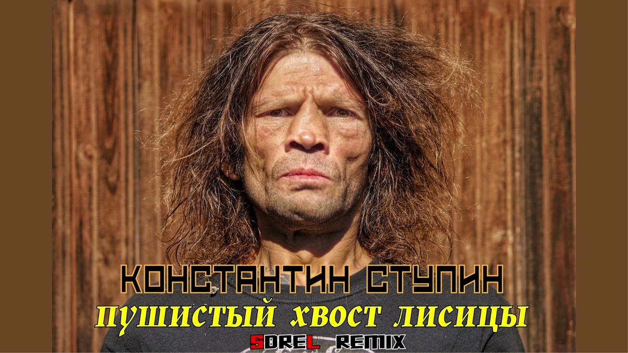 Константин Ступин - Пушистый хвост лисицы (SDreL remix)