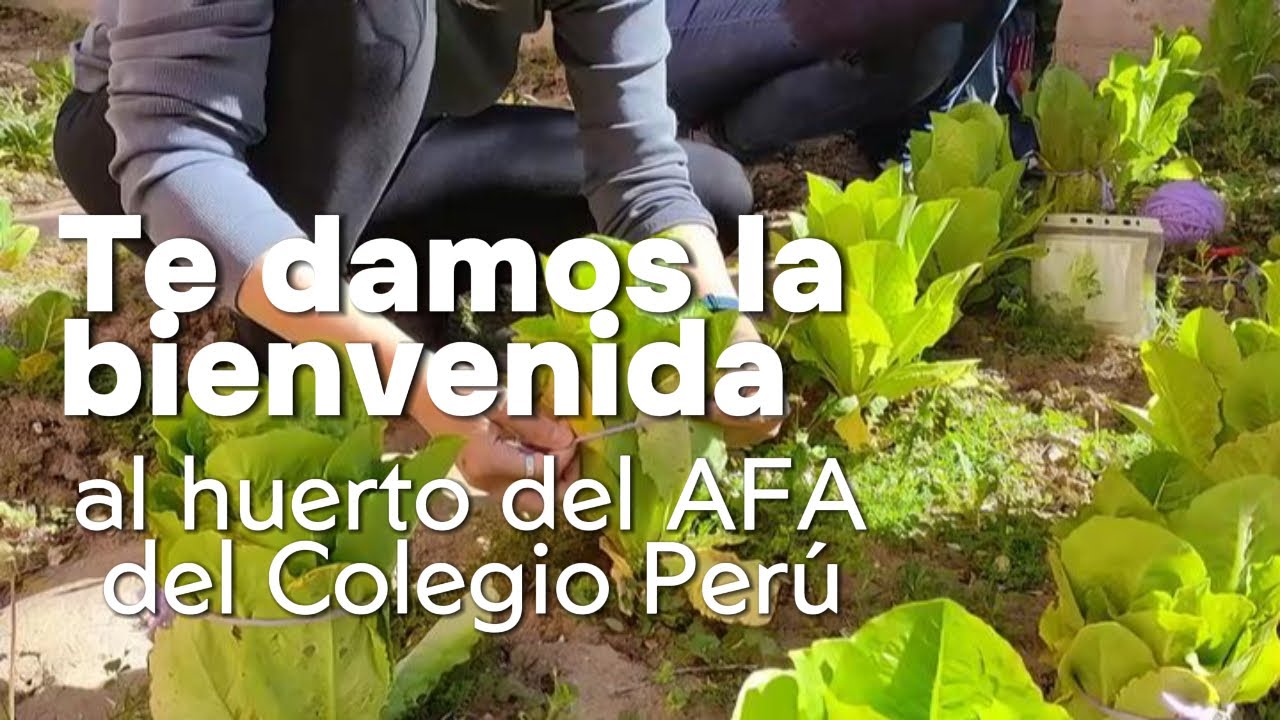 Te damos la bienvenida al Huerto del AFA del colegio Perú de Madrid