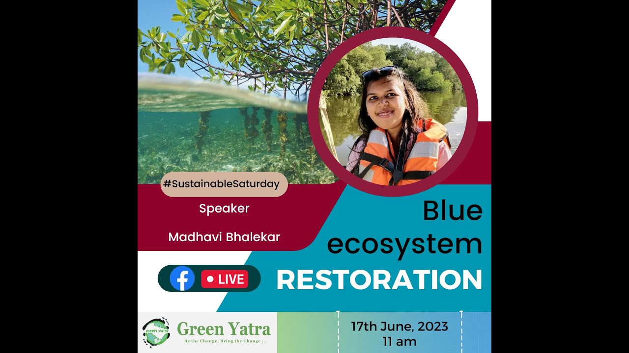Blue Ecosystem Restoration - #sustainablesaturday