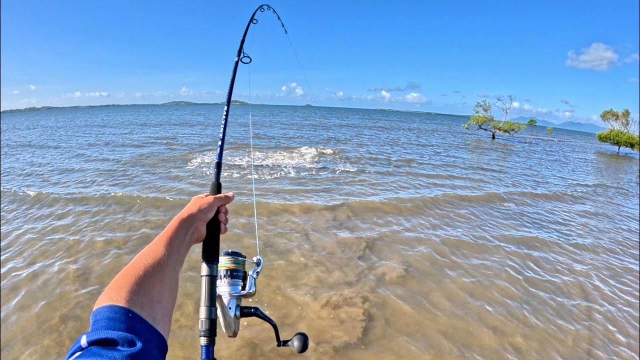 Landbased Shark Fishing In Bowen Queensland! - new setup - Fishing In Bowen