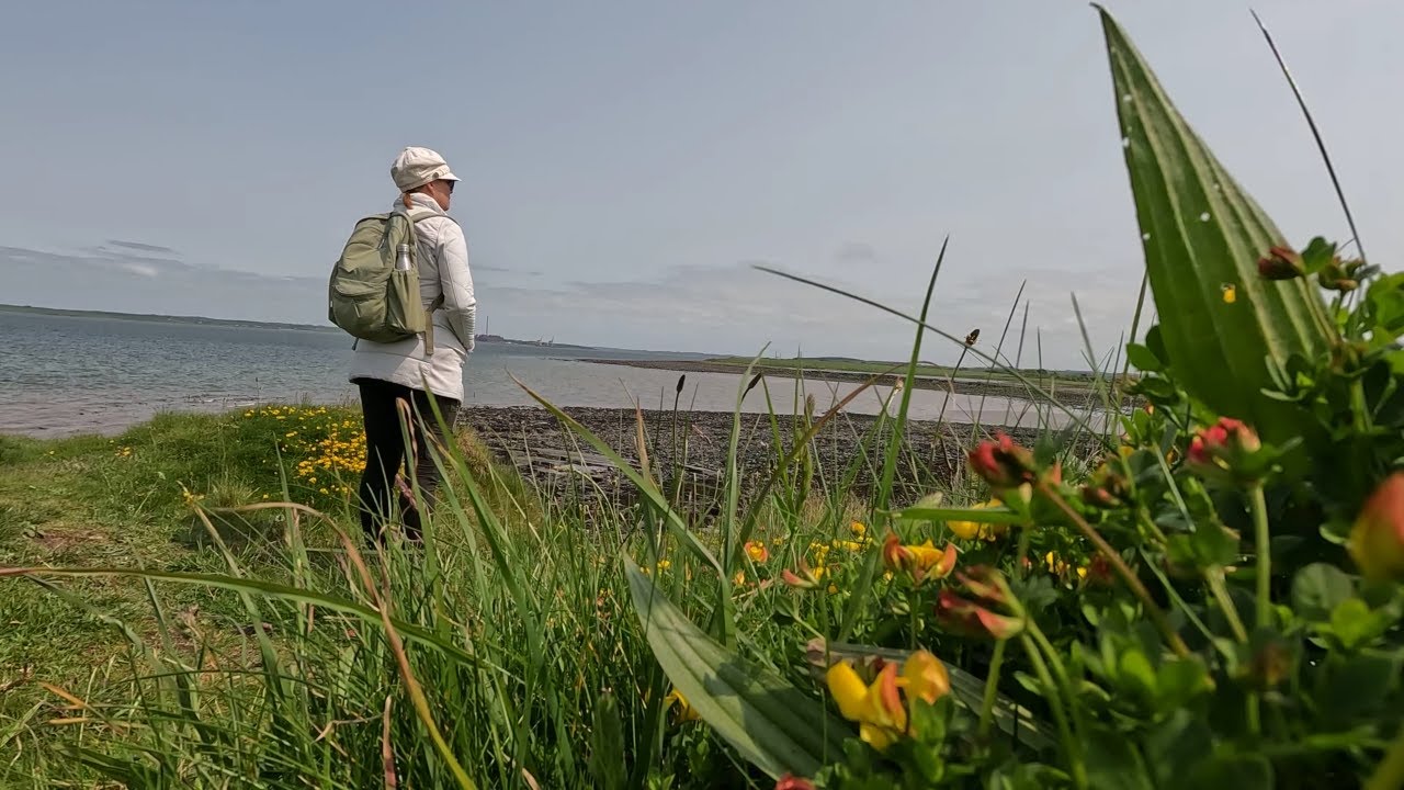 Rural farm stays, Ireland Kilelton Cottage, explore Carrigafoyle Castle, Hike around Carrig Island