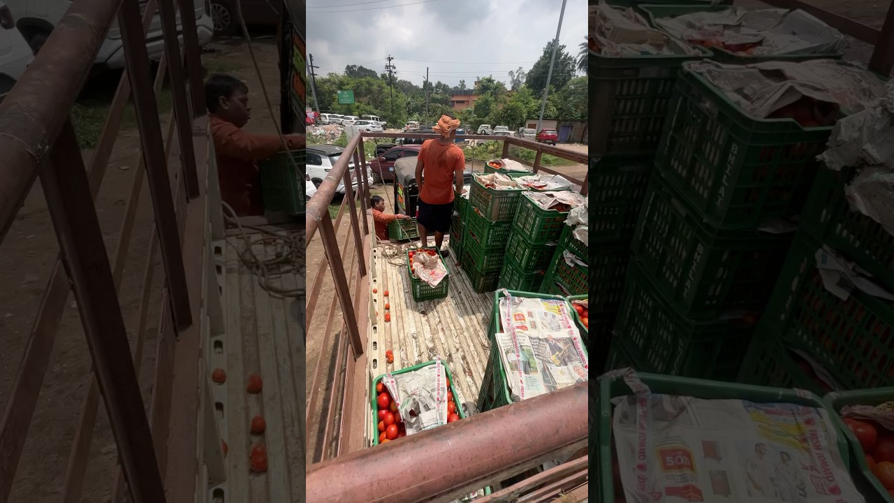 ODISHA RAULKILA #minivlog #pickup #odisha #transport #shorts #sad #cg